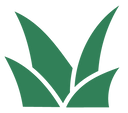 Aloe Antibatterica