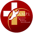 A.M.P.I.