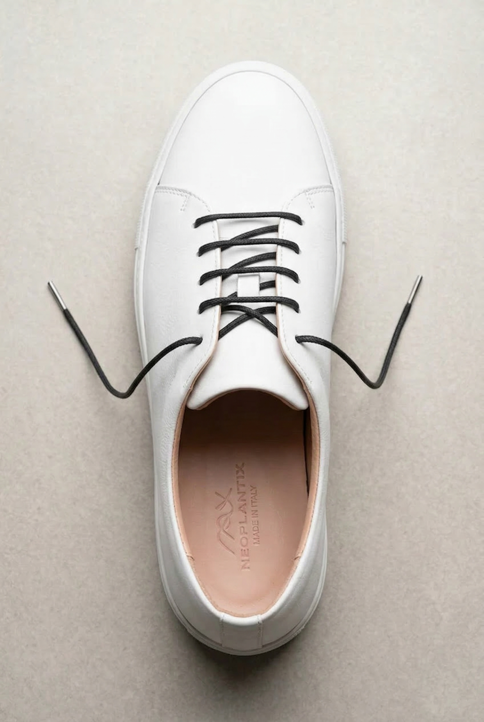 neoplantix.sneakers-home_5ba8456e-0fcf-42d5-97b3-4e42f2be0558.png
